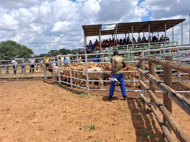 OTJINENE, 07 September 2026 - Otjinene Farmers Association elected new leadership (Photo: Zebaldt Ngaruka) NAMPA 