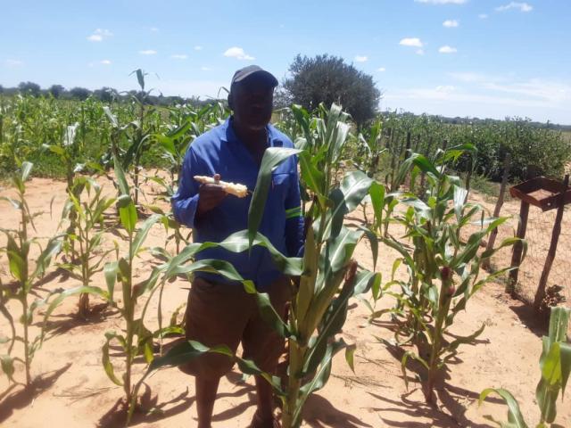 EPUKIRO  - Government allocated N$ 40 million for procurement of grain (Photo: Contributed) NAMPA 