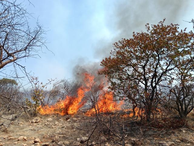Otjozongombe, 07 October 2026- A wildfire burns across grazing areas in the Otjozongombe area of the Opuwo Rural Constituency in the Kunene Region on Wednesday. (Photo: Kaviveterue Virere) NAMPA