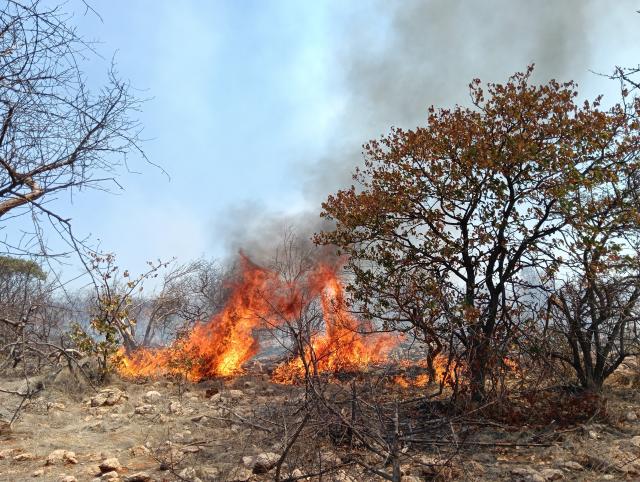 OTJOZONGOMBE, 07 October 2026- A wildfire burns across grazing areas in the Otjozongombe area of the Opuwo Rural Constituency in the Kunene Region on Wednesday. (Photo: Kaviveterue Virere) NAMPA