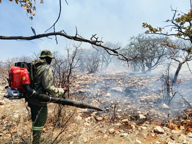 OTJOZONGOMBE, 07 October 2026- A wildfire burns across grazing areas in the Otjozongombe area of the Opuwo Rural Constituency in the Kunene Region on Wednesday. (Photo: Kaviveterue Virere) NAMPA