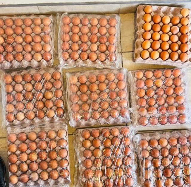 KATIMA MULILO, 23 October 2026 – The Zambezi Vocational Training Centre (ZVTC) has marked a significant milestone in its vocational agriculture drive, with students and staff on Friday showcasing their latest harvest of watermelons and eggs.

(Photo: Contributed)