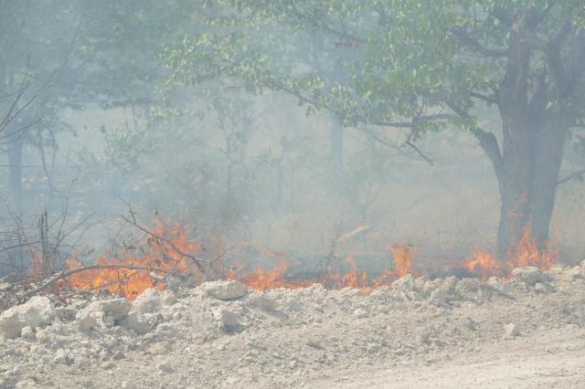 OPUWO, 25 October 2026-Veld fires in Etosha National Park have been contained, with firefighting teams remaining on standby. ( Photo: Contributed) NAMPA 
