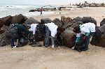 SWAKOPMUND, 15 September 2012 - Volunteers from the Hosea Katako culture group, participating in the national coastal clean-up day here on Saturday. (Photo by: Carike Freygang) NAMPA