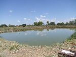 LIKUNGANELO, 23 MAY 2013 – One of the six production ponds at the Likunganelo fish farm, where fish production has sharply declined. The fish farm is situated some 30km east of Katima Mulilo in the Caprivi Region. (Photo by: Olavi Haikera) NAMPA 