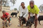 KEETMANSHOOP, 27 September 2013 - James Christiaan (L) David Vries and Bruno Eichab (R) taking their pets for vaccination during the three-day rabies vaccination campaign for dogs and cats in Keetmanshoop. Before the celebration of the World Rabies Day on 28 September, State vets at Keetmanshoop organised the free vaccination campaign from 25 to 27 September.(Photo by: Paulus Kiiyala Shiku)NAMPA