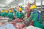  WINDHOEK, 14 MAY 2014 - Meat Corporation of Namibia (Meatco) workers at the Meatco Windhoek abattoir. (Photo contributed) NAMPA