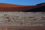 SOSSUSVLEI, 06 April 2018 – The Deadvlei clay pan in the Namib-Naukluft National Park. The clay pan was formed after rainfall, when the Tsauchab river flooded, creating temporary shallow pools where the abundance of water allowed camel thorn trees to grow. When the climate changed drought hit the area and sand dunes encroached on the pan, which blocked the river from the area. (Photo by: Linea Dishena) NAMPA