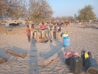 OHAIYANDA, 10 September 2024 - Residents in the rural areas of the Oshikoto Region have relayed how traditional wells are their only hope as efforts from the Ministry of Agriculture, Water and Land Reform (MAWLR) remain in vain. (Photo by: Gabriel Tomas) NAMPA