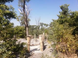 NKURENKURU, 21 October 2024 - The Kavango West Communal Land Board has since February this year recorded nine cases of fencing of communal land, eight of which are under investigation for alleged illegal fencing. (Photo: Contributed)