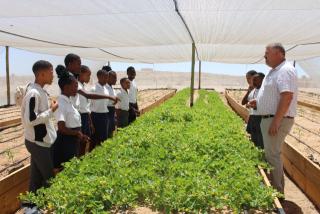 WARMBAD, 14 November 2024 – Learners at Michel Durocher Primary School at Warmbad and Christo Adriaanse, a natural science teacher at the school are pictured in the school garden. (Photo by: Suzith Tjitaura) NAMPA 