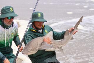 SWAKOPMUND, 11 December 2024 – South African Anglers pictured with their catch during the International Shore Angling Gala tournament which was held between Namibians and South Africans in Henties Bay. (Photo by: Hesron Kapanga) NAMPA