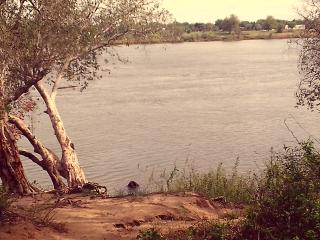 KATIMA MULILO, 07 January 2025 - Zambezi River waters levels have hit low levels this January measuring 0.30 centimetres on Tuesday afternoon compared to 0.90 centimetres last year.
(Photo by: Michael Mutonga Liswaniso) NAMPA
