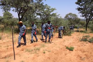 TSUMKWE, 24 March 2025 - Members of the National Youth Service (NYS) remove an illegal fence erected on communal land in Tsumkwe West in the Otjozondjupa Region. (Photo by: Mulisa Simiyasa) NAMPA