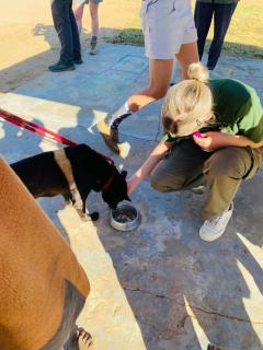 EPUKIRO, 17 May 2025 - The N/a'an ku sê Clinic, a subsidiary of the N/a'an ku sê Foundation, conducted a vaccination campaign against rabies in the Omaheke Region’s Epukiro Constituency on Saturday. (Photo: Contributed) 