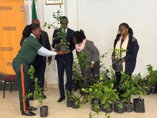 OUTAPI, 18 June 2025 - Angels' Paradise Private School received plants from the Ministry of Environment during the commemoration of the World Day to Combat Desertification and Drought held at Outapi on Tuesday. (Photo by: Maria David) NAMPA