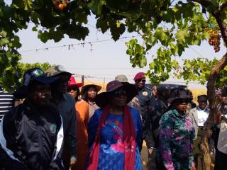 ETUNDA, 01 September 2025 - President Netumbo Nandi-Ndaitwah assessing agricultural activities at Etunda Irrigation scheme on Monday. (Photo: Maria David)NAMPA