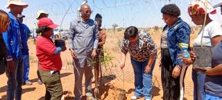 KALKRAND, 01 October 2025(NAMPA)- The Kalkrand Village Council in collaboration with local business woman Corne Smith and the local youth group called “Never Give Up” held a tree planting ceremony at the local cemetery in Kalkrand on Wednesday.
(Photo: Charmaine Boois) NAMPA 