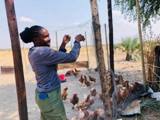 RUGCUVA, 25 September 2025 - The Nomusi Norugana Poultry project at Rugcuva village in the Musese Constituency of the Kavango West Region.
(Photo by: Lylie Joel) NAMPA