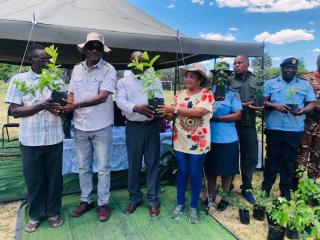 NKURENKURU, 20 November 2025 - The community members of Nkurenkuru Constituency in Kavango West region received 100 seedlings from the Kavango West Regional Governor, Verna Sinimbo, during the Fruit Tree Campaign in Nkurenkuru on Thursday.
(photo: Lylie Joel)
NAMPA