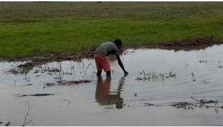 MATENDE, 26 November 2025 - A young boy collects water from a contaminated pond to drink at Matende village in the Kavango West Region. (Photo by: Sawi Hausiku) NAMPA 