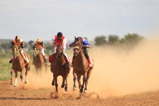 GOBABIS- Racehorses horses clashing in Rehoboth for Tobie Van Wyk Race Day (Photo: Contributed) NAMPA 