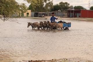 OSHAKATI, 12 December 2025- The owner of the donkey cart Frans Shaketange from the Oniimwandi village crossing the flood water with his donkey cart. (Photo: Ester Hakaala) NAMPA 