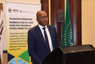 WINDHOEK, O5 FEBRUARY 2026 - Chief Executive Officer of the Namibia Chamber of Commerce and Industry (NCCI),  Titus Nampala. (Photo by: Chelva Wells) NAMPA