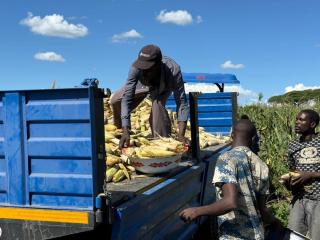 WINDHOEK, 11 April- Agriculture ministry intervening in the flood situation at Zambezi region. (Photo contributed) NAMPA