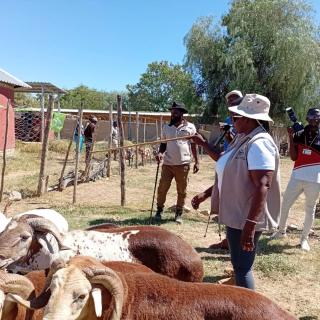 OPUWO, 02 MAY 2026- Deputy Minister of Agriculture, Fisheries, Water and Land Reform Ruthy Masake during the Opuwo Annual Trade Fair Agricultural Show at Opuwo, in the Kunene region. (Photo: Kaviveterue Virere) NAMPA 