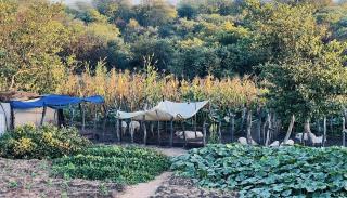 ONGAKA, 13 May 2026- A sunset view of Tulimuwo’s field in Ongaka village.

(Photo: Max Henrich) NAMPA 