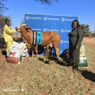 ORUHARUI, 01 June 2026- Event organiser Florence Handura is pictured with the livestock handler of the cow Sylvia, which was named Champion Cow, during the Oruharui SME Agricultural Expo 2026. ( Photo: Contributed) NAMPA 