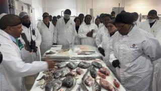 WALVIS BAY, 24 April 2026 - President Netumbo Nandi-Ndaitwah and Vice President Lucia Witbooi accompanied by other senior officials during a recent visit to the Seaworks fishing factory in Walvis Bay. They are looking at some of the most popularly imported seafood. (Photo by: Isabel Bento) NAMPA