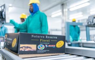 WINDHOEK, 28  July 2026 – Meatco product pictured. (Photo: Contributed) 