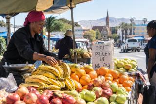 WINDHOEK, 14 September 2026 - The Namibia Statistics Agency (NSA) has revealed that fruit prices are still rising faster than fuel costs, even though fruit inflation eased in August compared to July.

(Photo contributed) NAMPA 