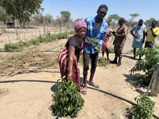 GUMI VILLAGE, 29 September 2026 - The Gumi Youth Project at Gumi village in Ncamagoro Constituency is run by 18 young people. (Photo: Lylie Joel) NAMPA