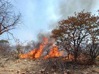 Otjozongombe, 07 October 2026- A wildfire burns across grazing areas in the Otjozongombe area of the Opuwo Rural Constituency in the Kunene Region on Wednesday. (Photo: Kaviveterue Virere) NAMPA
