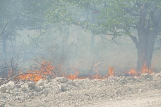 OPUWO, 25 October 2026 - Veld fires in Etosha National Park have been contained, with firefighting teams remaining on standby. (Photo: Contributed) 