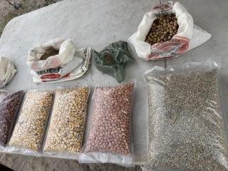 SHARUKWE, 30 October 2026 - The Ministry of Environment, Forestry and Tourism on Thursday held a Traditional Seed Fair at the Sharukwe Community Seed Bank in Kavango West. (Photo: Lylie Joel) NAMPA
