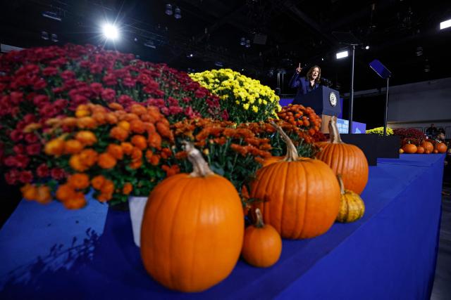 US Vice President and Democratic presidential candidate Kamala Harris speaks during a campaign event at the Resch Expo Center in Green Bay, Wisconsin, October 17, 2024. (Photo by KAMIL KRZACZYNSKI / AFP)