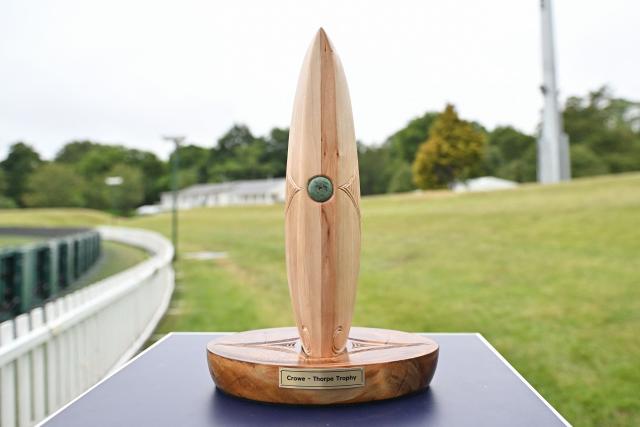 The Crowe-Thorpe trophy, honoring late New Zealand's Martin Crowe and England's Graham Thorpe, is seen two days before the first Test cricket match between England and New Zealand at Hagley Oval in Christchurch on November 26, 2024. (Photo by Sanka Vidanagama / AFP)