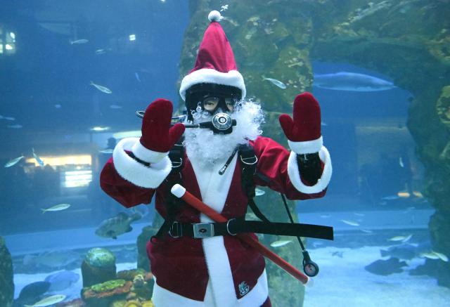 A diver dressed as Santa Claus waves to visitors during a Christmas-themed underwater show at Lotte World Aquarium in Seoul on December 23, 2024. (Photo by Jung Yeon-je / AFP)