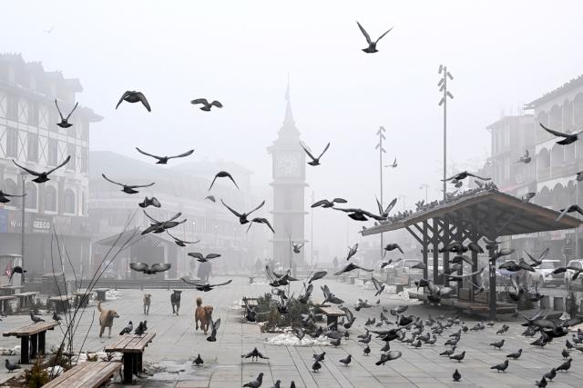 A flock of pigeons flies amid dense fog on a cold winter morning at Lal Chowk in Srinagar on January 3, 2025. (Photo by Tauseef MUSTAFA / AFP)