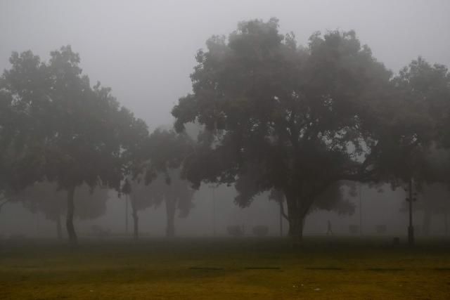 A man walks along a path amidst fog on a cold winter morning in New Delhi on December 3, 2025. (Photo by Arun SANKAR / AFP)