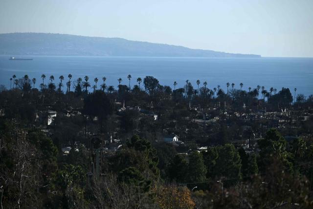 The Pacific Ocean is seen in the distance beyond palm trees and the charred remains of homes destroyed by the Palisades Fire in the Pacific Palisades neighborhood of Los Angeles, California, on January 13, 2025. Firefighters were battling massive wildfires on January 13 that have ravaged Los Angeles and killed at least 24 people, with officials warning of incoming dangerous winds that could whip up the blazes further. (Photo by Patrick T. Fallon / AFP)