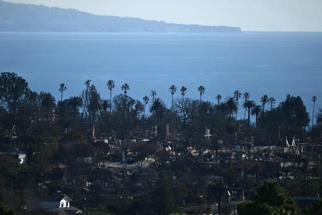 The Pacific Ocean is seen in the distance beyond palm trees and the charred remains of homes destroyed by the Palisades Fire in the Pacific Palisades neighborhood of Los Angeles, California, on January 13, 2025. Firefighters were battling massive wildfires on January 13 that have ravaged Los Angeles and killed at least 24 people, with officials warning of incoming dangerous winds that could whip up the blazes further. (Photo by Patrick T. Fallon / AFP)