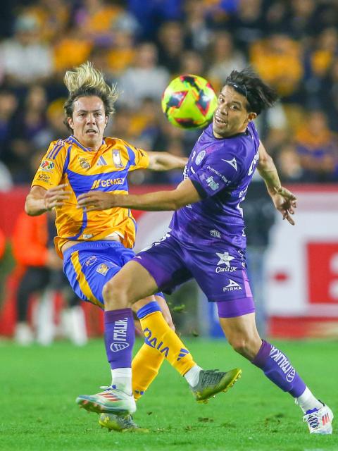 Tigres' midfielder #17 Sebastian Cordova and Mazatlan's defender #15 Bryan Colula fight for the ball during the Liga MX Clausura football match between Tigres and Mazatlan at the Universitario (UANL) Stadium in San Nicolas de los Garza, Nuevo Leon State, Mexico on January 17, 2025. (Photo by Julio Cesar AGUILAR / AFP)