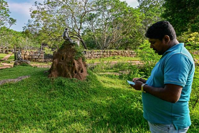 A divisional secretariat at the Mihintale village marks a tally sheet after counting monkeys as he conducts a census in Anuradhapura on March 15, 2025. Sri Lanka carried out a nationwide census on March 15, of nuisance wildlife, including monkeys and peacocks, in a bid to prepare countermeasures to protect crops, officials said. (Photo by Ishara S. KODIKARA / AFP)