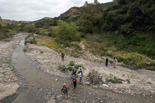 Members of the collective for the search of missing persons walk as they work at the Las Carretas Canyon area in Tijuana, Baja California state, Mexico on May 2, 2025. (Photo by Guillermo Arias / AFP)