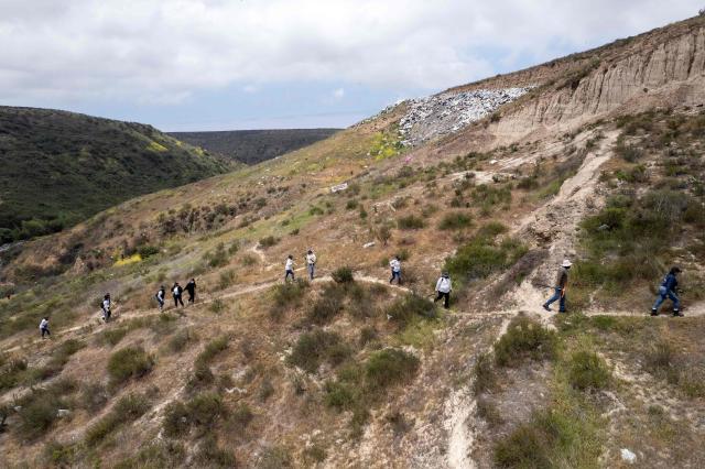 Members of the collective for the search of missing persons walk as they work at the Las Carretas Canyon area in Tijuana, Baja California state, Mexico on May 2, 2025. (Photo by Guillermo Arias / AFP)